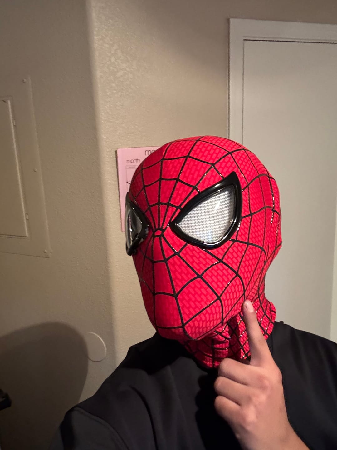 Customer photo review of SpideyJunky™ TASM 2 Spidey Mask