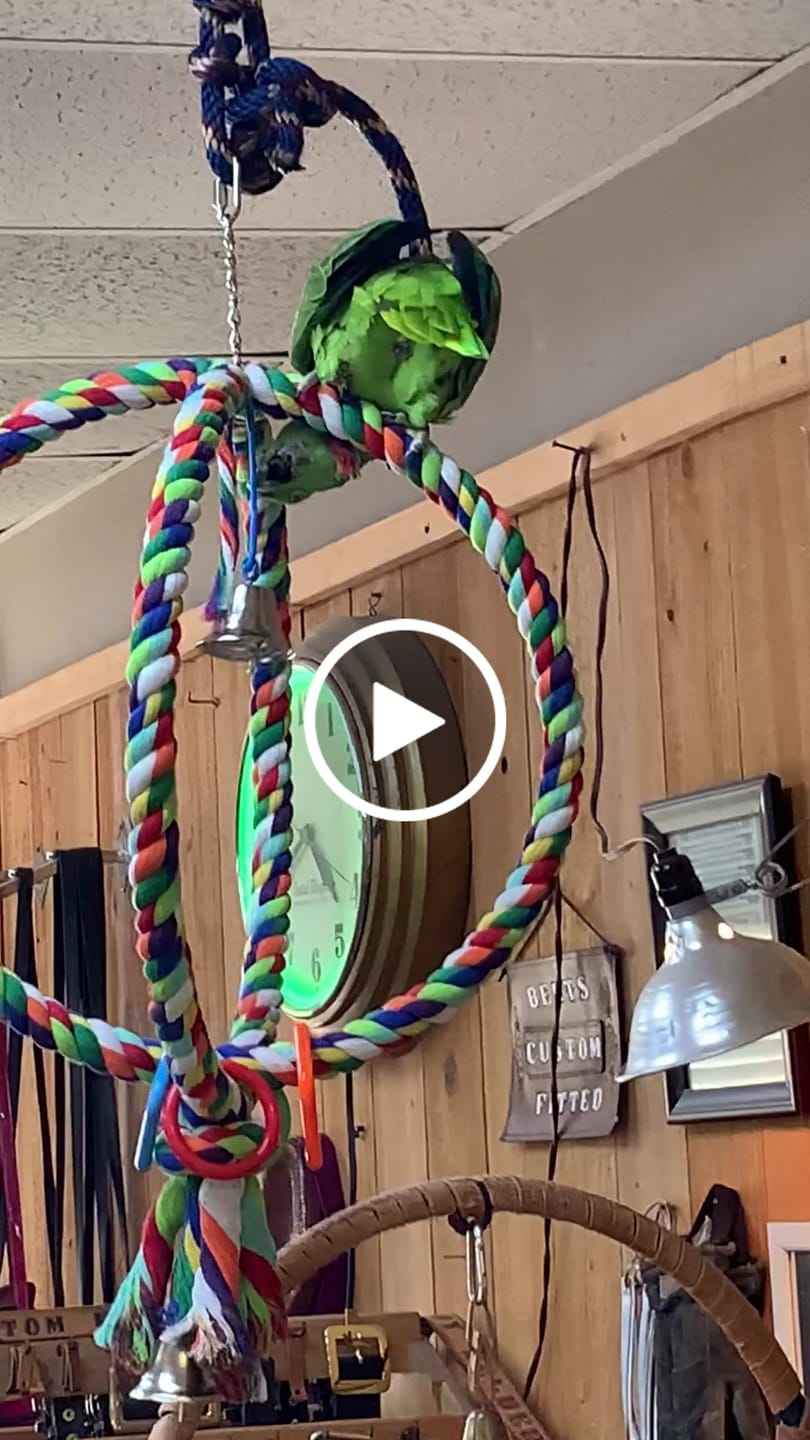 Customer video review of 1411 Huge Globe Rope Swing