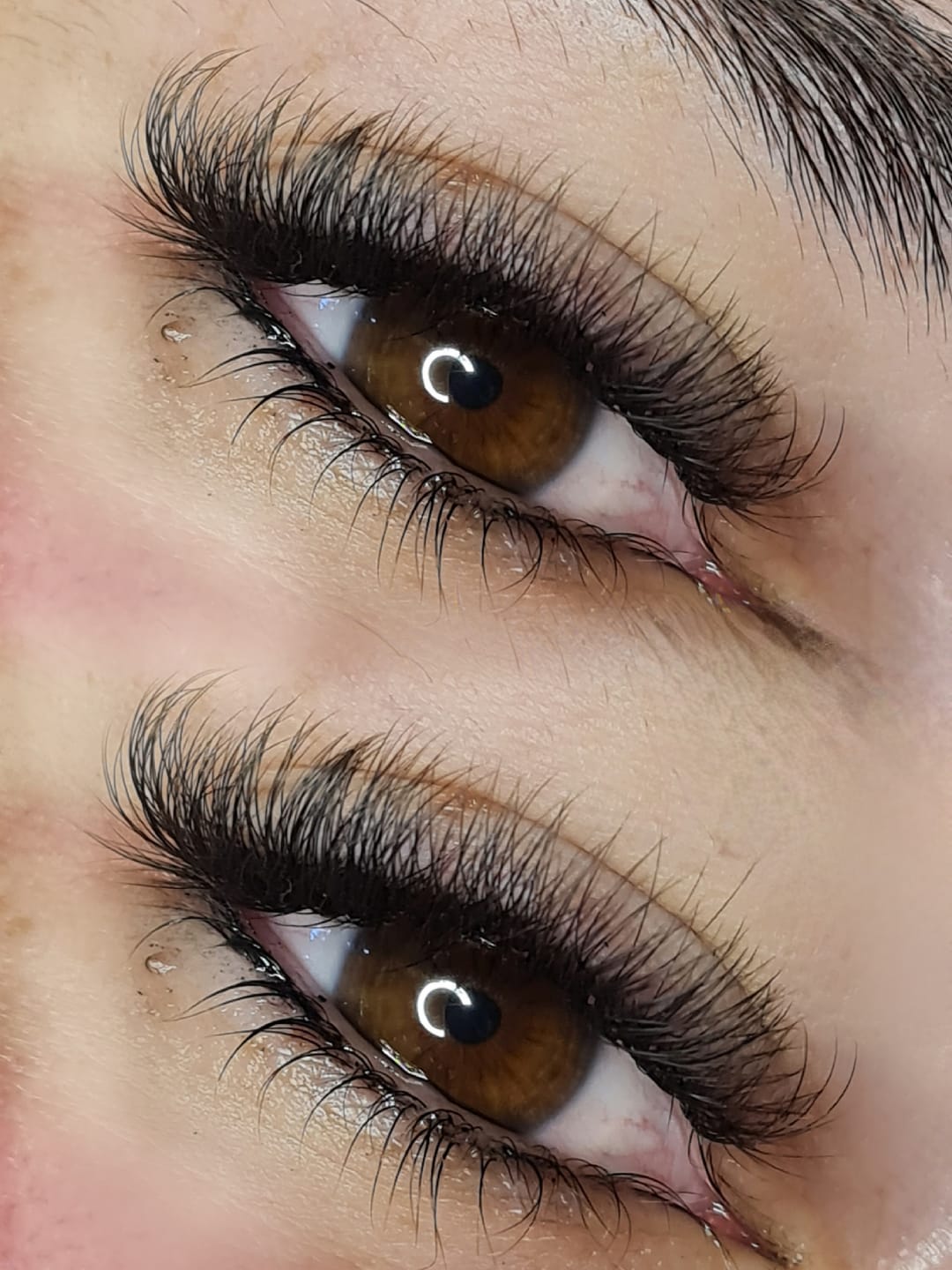 Customer photo review of 3D Fertige Wimpernfächer 500 Fans