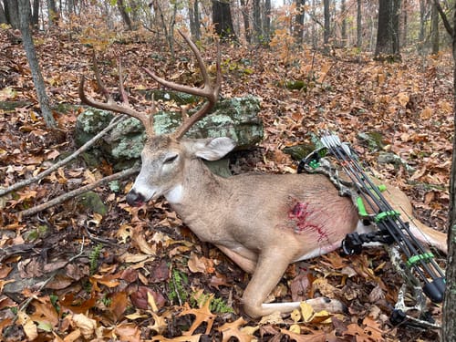 Customer photo review of Beast Broadheads (2-Pack + Practice Tip)