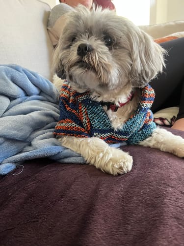 Customer photo review of Playa Poncho - Surprise Color