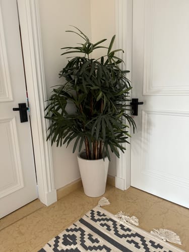 Customer photo review of Classic Ceramic White Pot (3 Sizes)