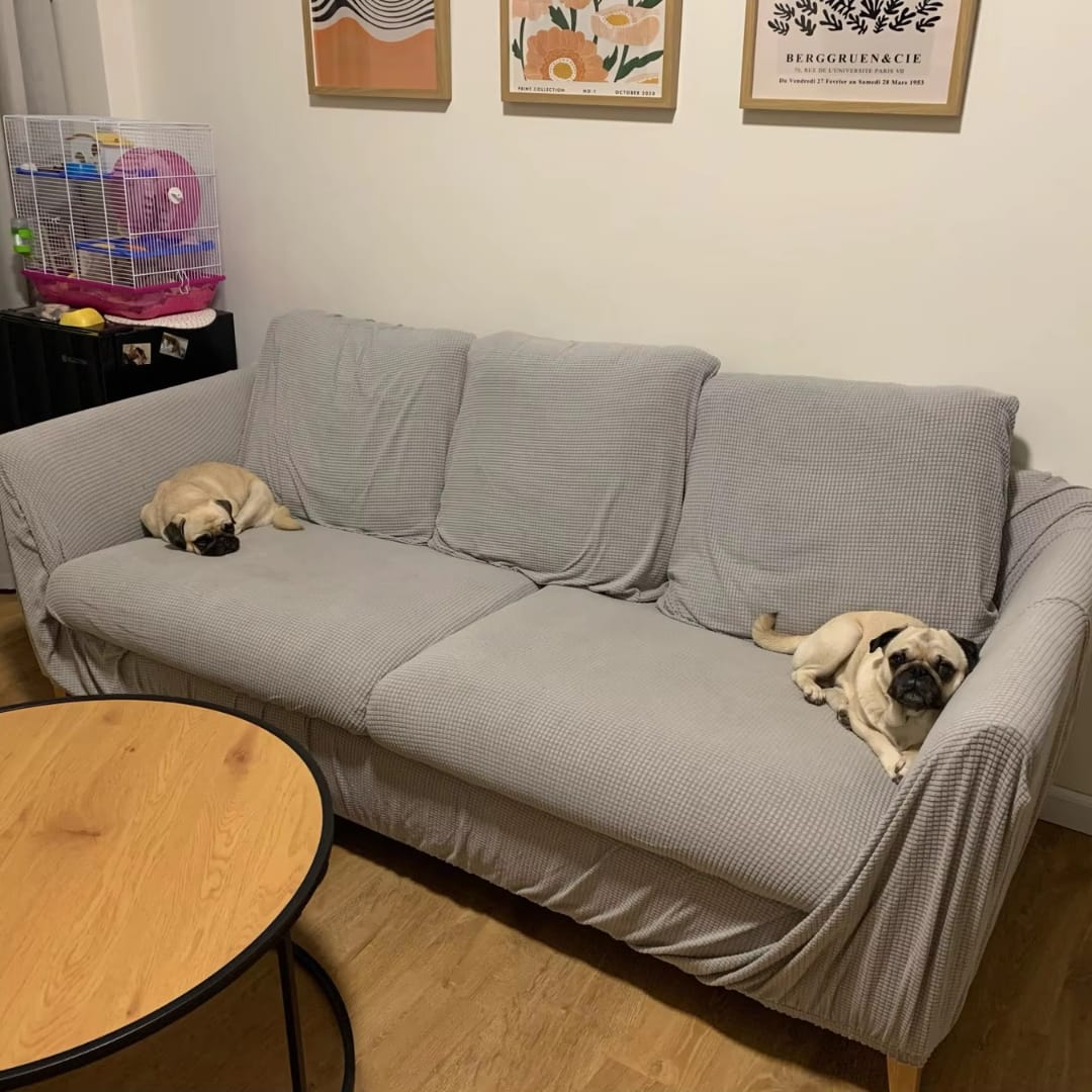 Customer photo review of Stijlvolle Rekbare Bankhoes - StretchGuard