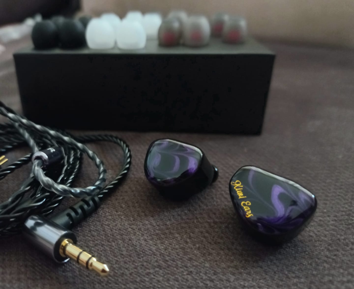 Customer photo review of Kiwi Ears Cadenza IEM Kulaklık