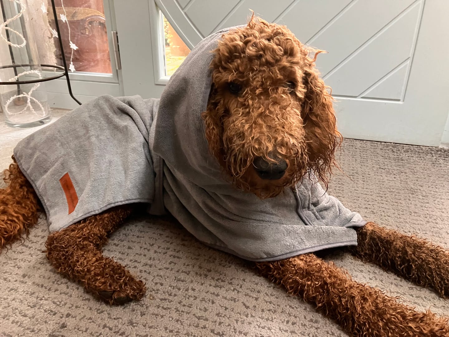 Customer photo review of Premium Hunde Bademantel