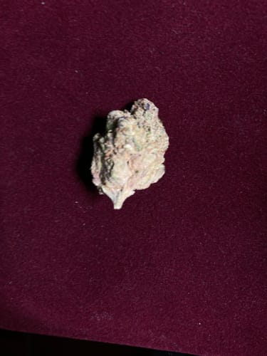 Customer photo review of 3.5g THC-A COOKIES STICKY BUNS FLOWER HYBRID