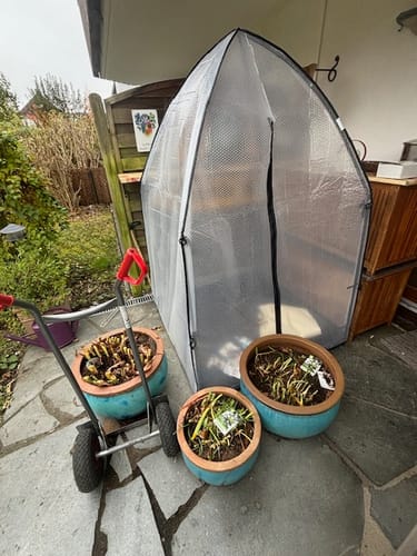 Customer photo review of Bodenisolierung für Überwinterungszelt "ICEDOME & PATIOFLORA 120/XL" 120x120cm