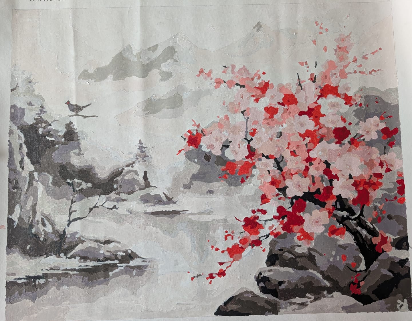 Customer photo review of Serene Bloom Frostscape
