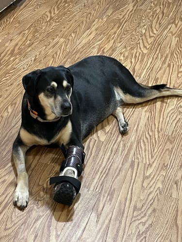 Customer photo review of Freedom Joint Drops