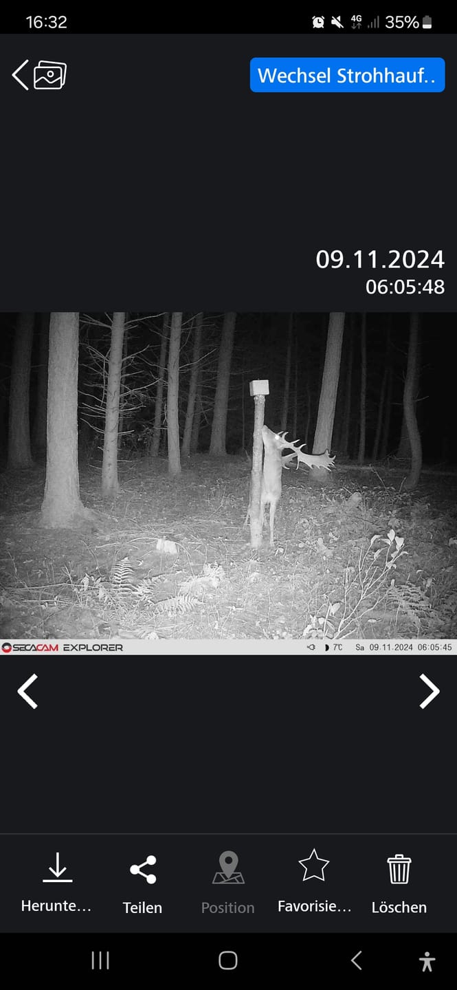 Customer photo review of Salzspray Apfel - Lockmittel Rehwild, Schwarzwild, Rotwild und Damwild