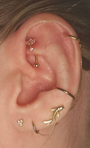 Customer photo review of CHLUXE LANI Droplet Curved Rook Barbell - 14K Yellow Gold