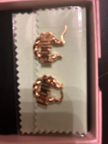 Customer photo review of Personalized Hoop Earrings