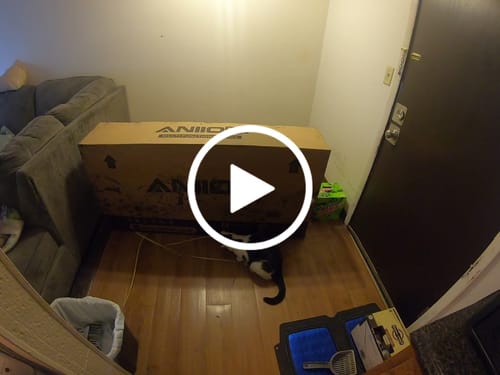 Customer video review of AQ177 Pro Max