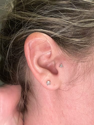 Customer photo review of Shipping Protection