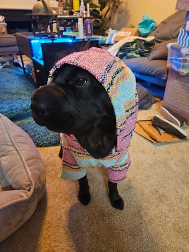 Customer photo review of Playa Poncho - Surprise Color