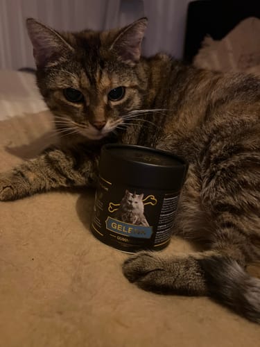 Customer photo review of Gelenk Gummies - Angebot