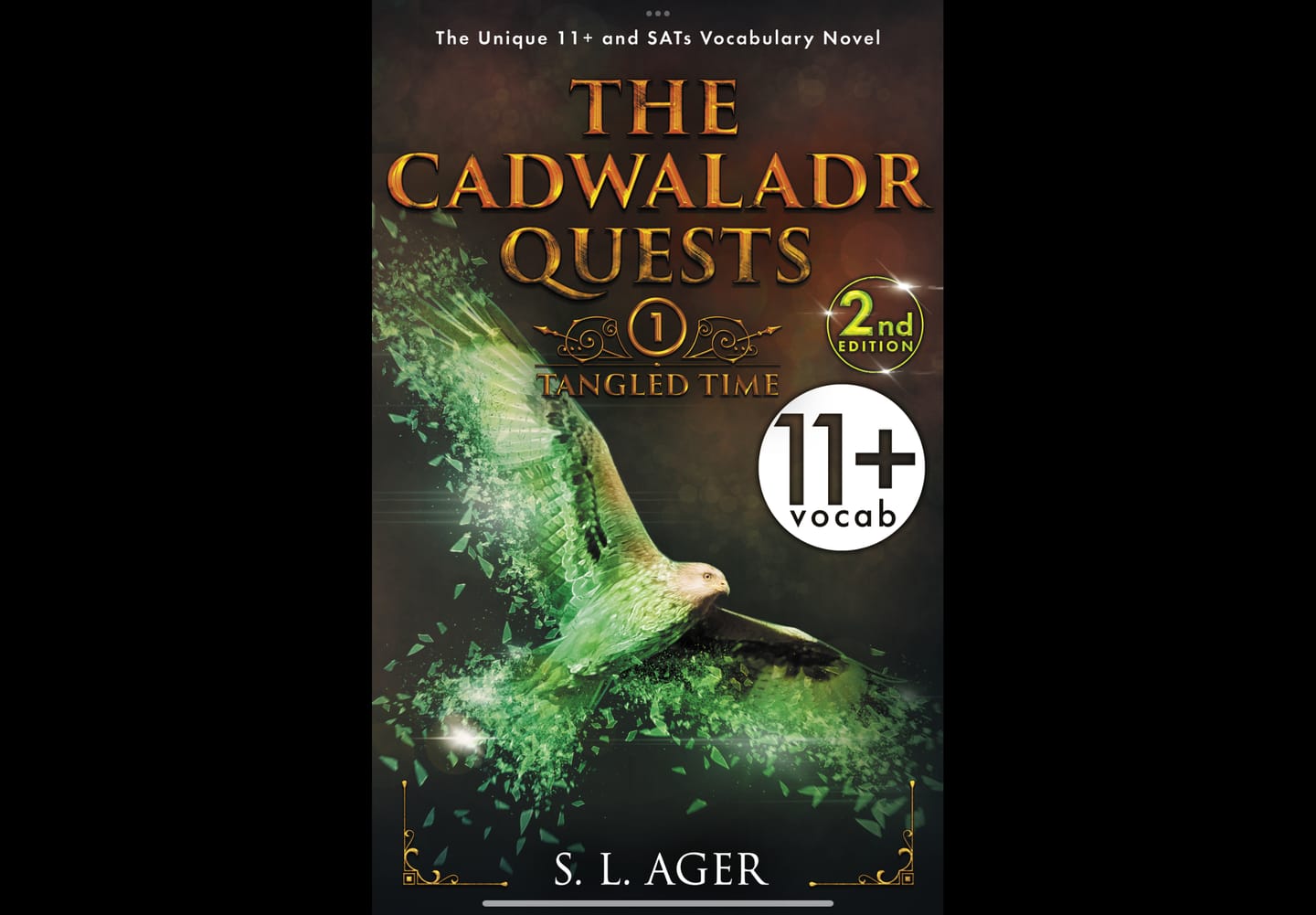 Customer photo review of The Cadwaladr Quests 11+ Vocabulary Novel Book 1: Tangled Time (year 5)