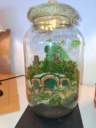 Customer photo review of Halbling-Höhle Flaschengarten mit Bonsai und Moos