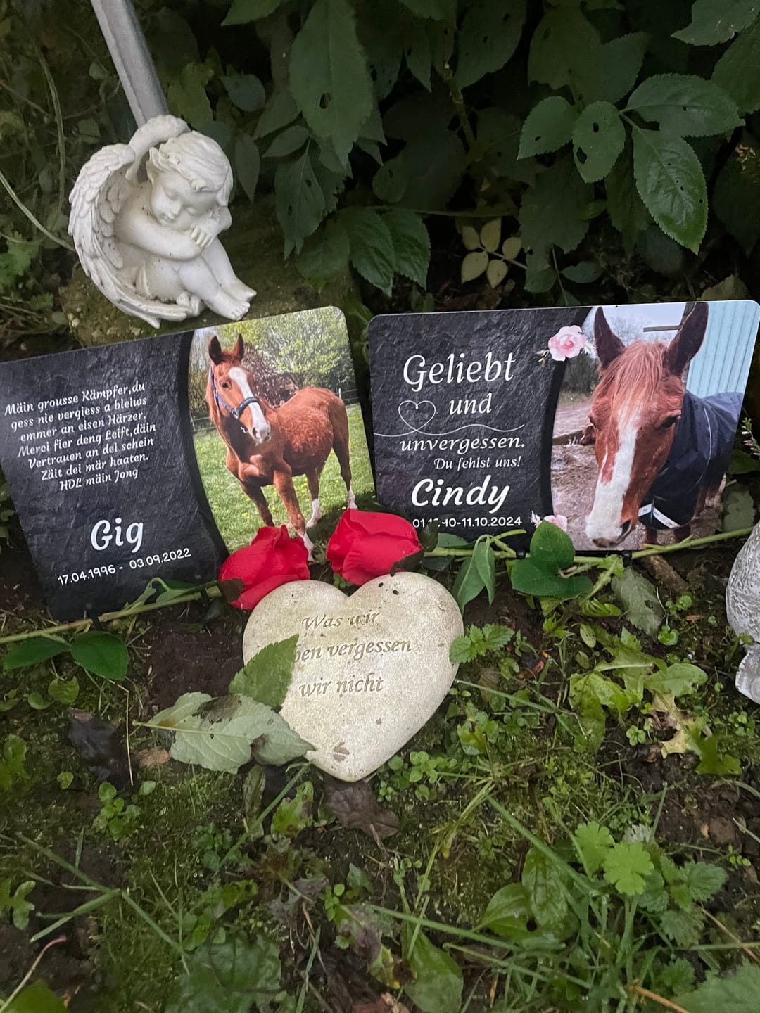 Customer photo review of Pferde Gedenktafel mit Foto & Spruch (UV- & Wetterfest)