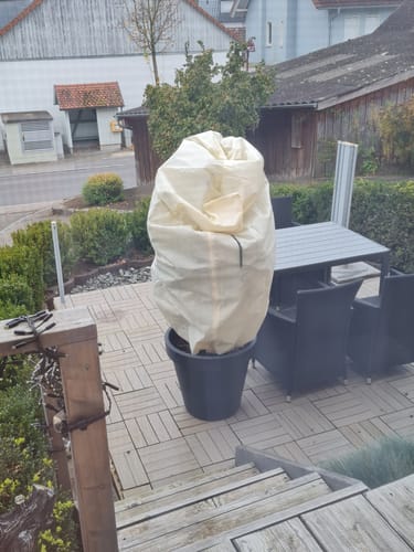 Customer photo review of Winterschutz für Kübelpflanzen XXL H 180 x B 120 cm Ø 76 cm