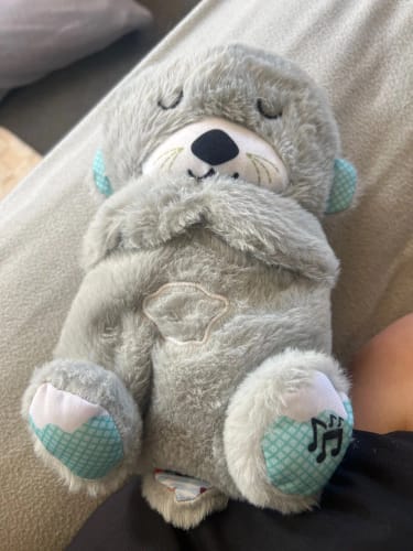 Customer photo review of My Cuddly Companion™