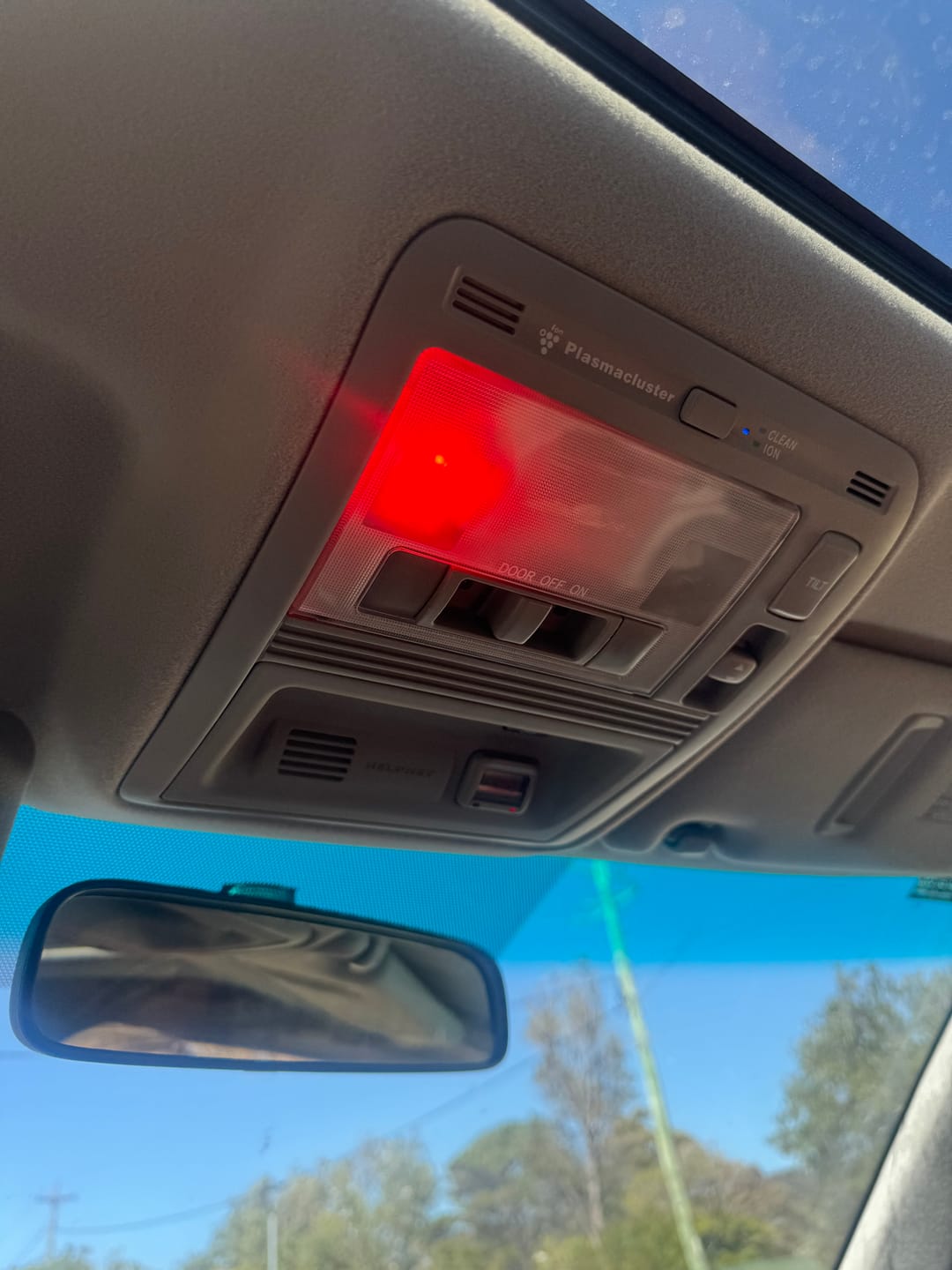 Customer photo review of Spectrum T10 Globes