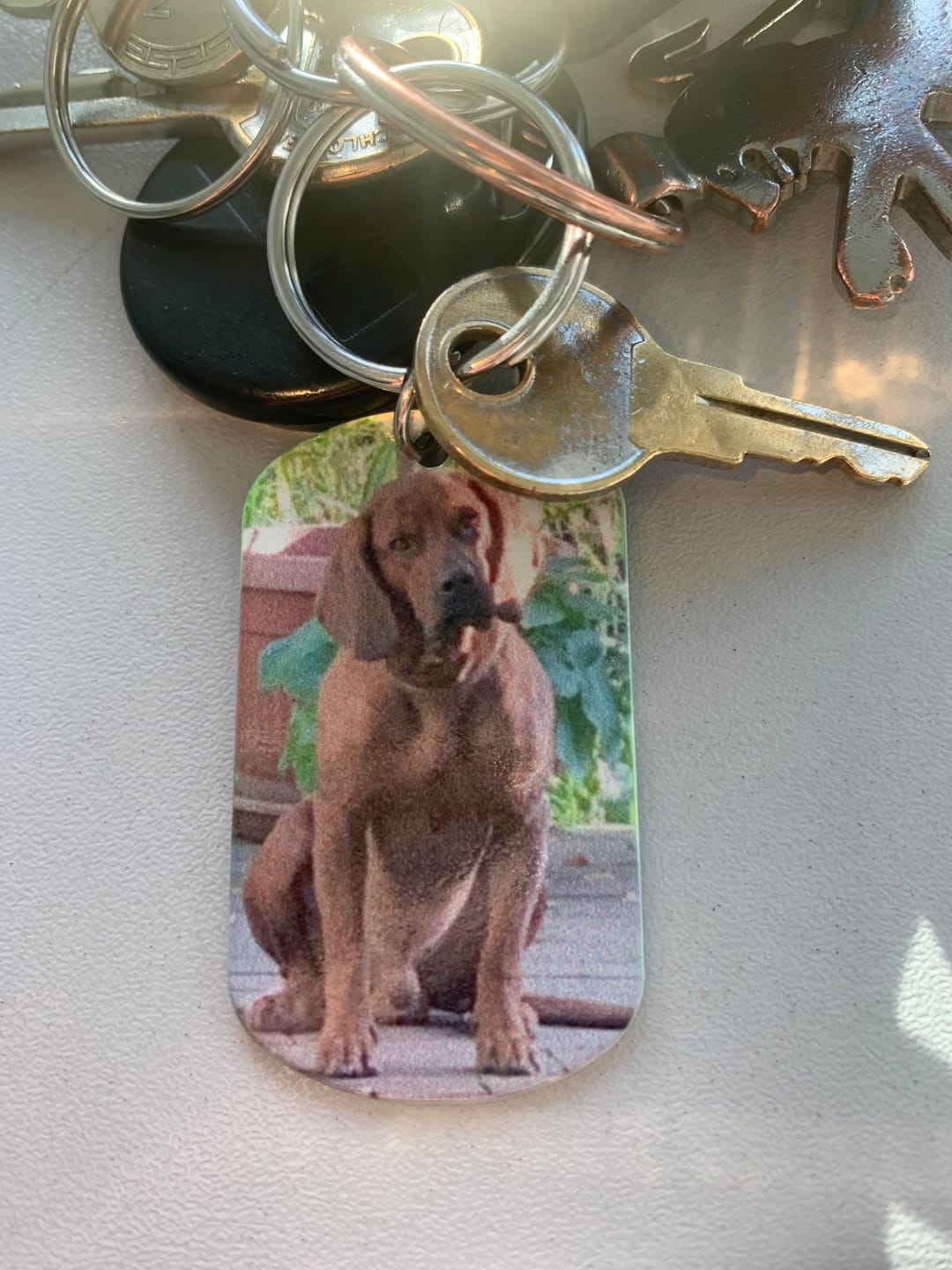 Customer photo review of Für immer im Herzen - Individueller Dog Tag Schlüsselanhänger