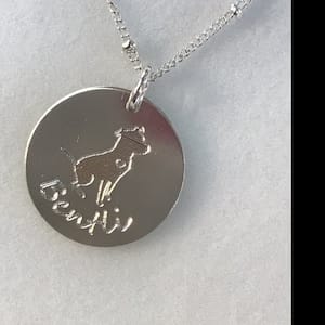 Customer photo review of Personalized Pet Paw Print Charm Necklace