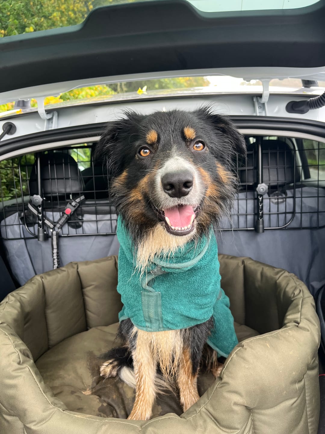 Customer photo review of Country Dog Heavy Duty Oval Waterproof Bed