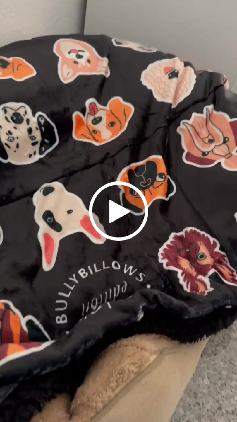 Customer video review of Black Edition | Luxury Dog & Human Blanket