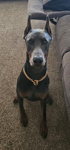 Customer photo review of MIAMI CHOKER