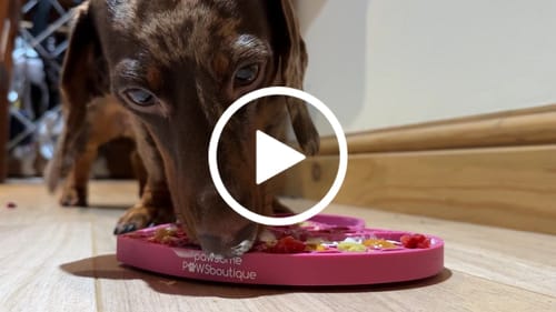 Customer video review of Lick Mat - Raspberry Pink