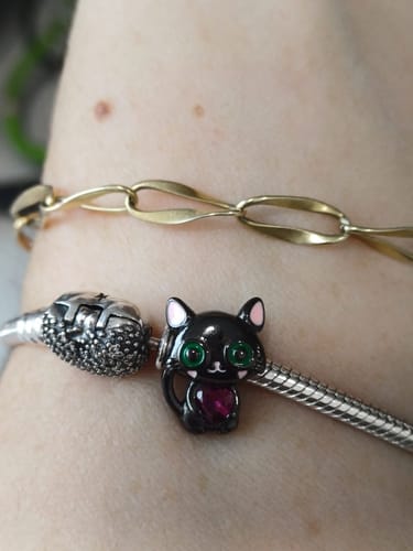 Customer photo review of Charm Dia de Muertos