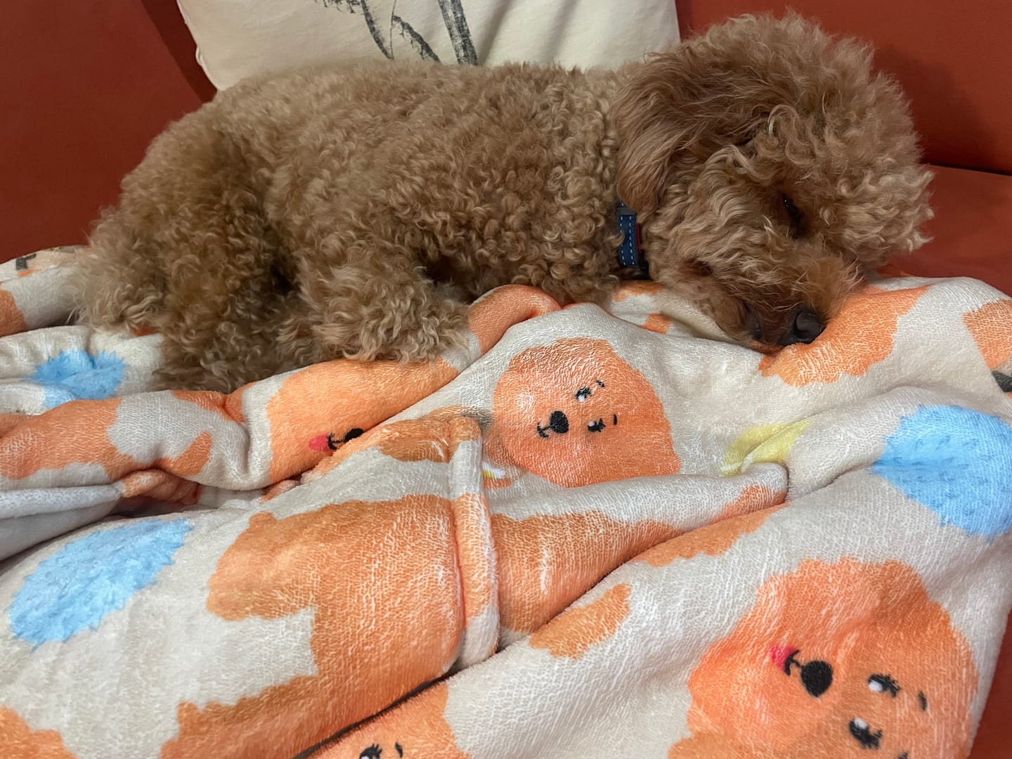 Customer photo review of Fluff Hugs - Adults