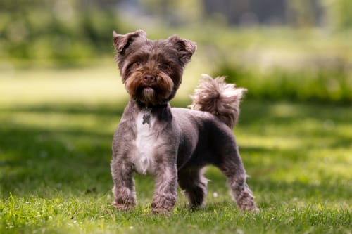 Customer photo review of Mobile Lightroom Preset Bundle (For Phones and Tablets) only $35 with code: SAVE50