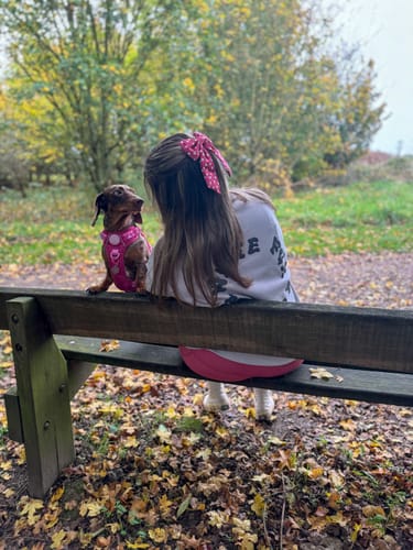 Customer photo review of Hair Bow - Merry + Bright