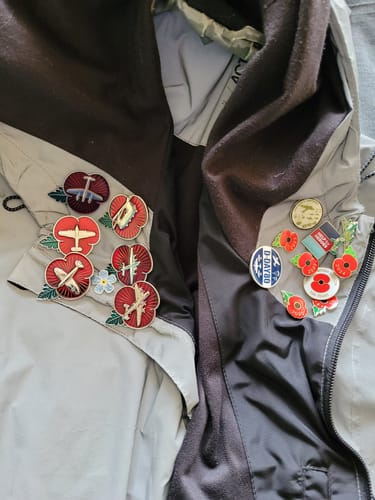 Gordon review of Poppy Pin Badge Chinook image 1 out of 2