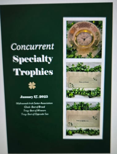 Customer photo review of Belleek Classic Celtic Gold Clock