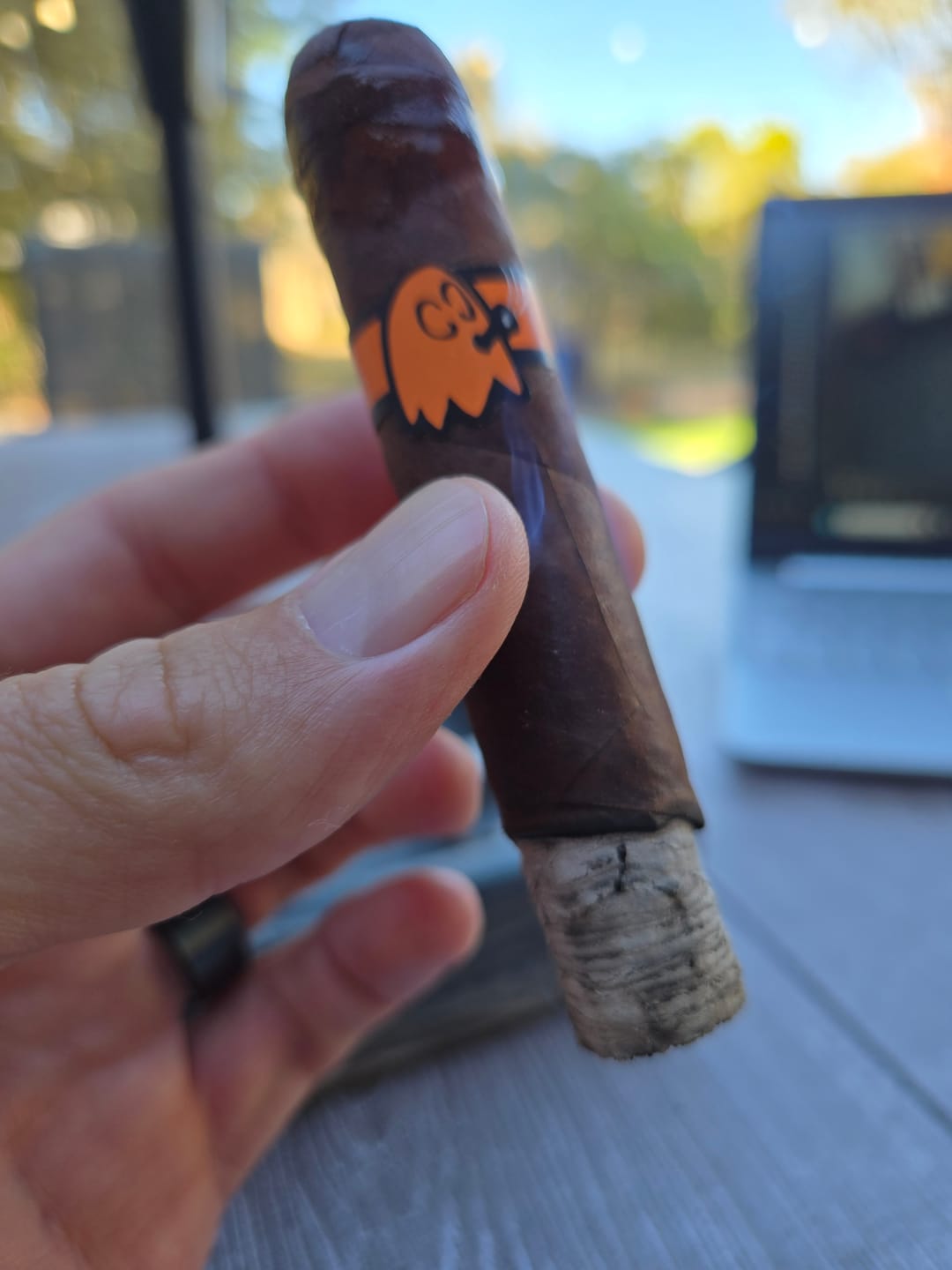 Customer photo review of The Mascot
