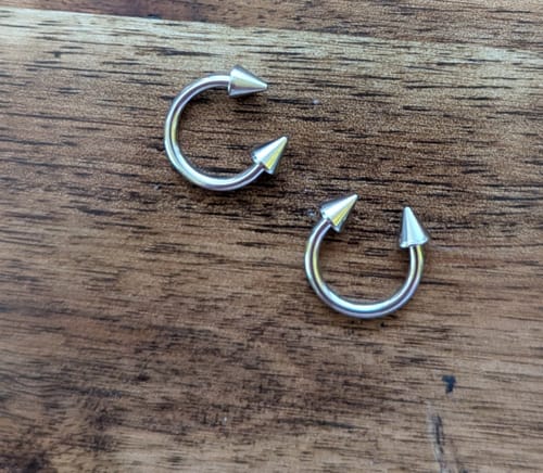 Customer photo review of Spiked Horse Shoe Body Jewellery
