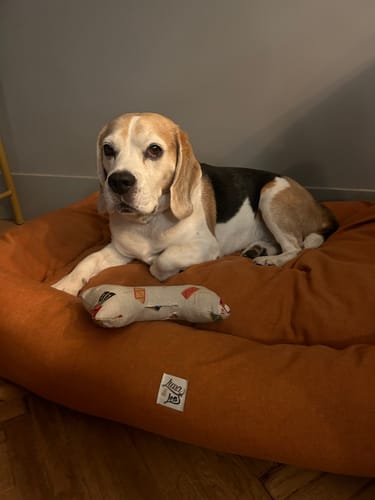 Customer photo review of Divanetto Mattias Caramello (Soft Touch)