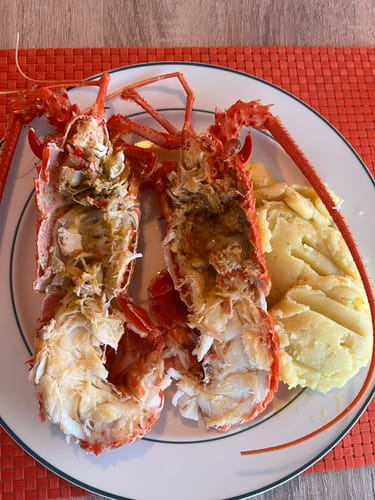 Customer photo review of Tas Red Crayfish (Cooked)