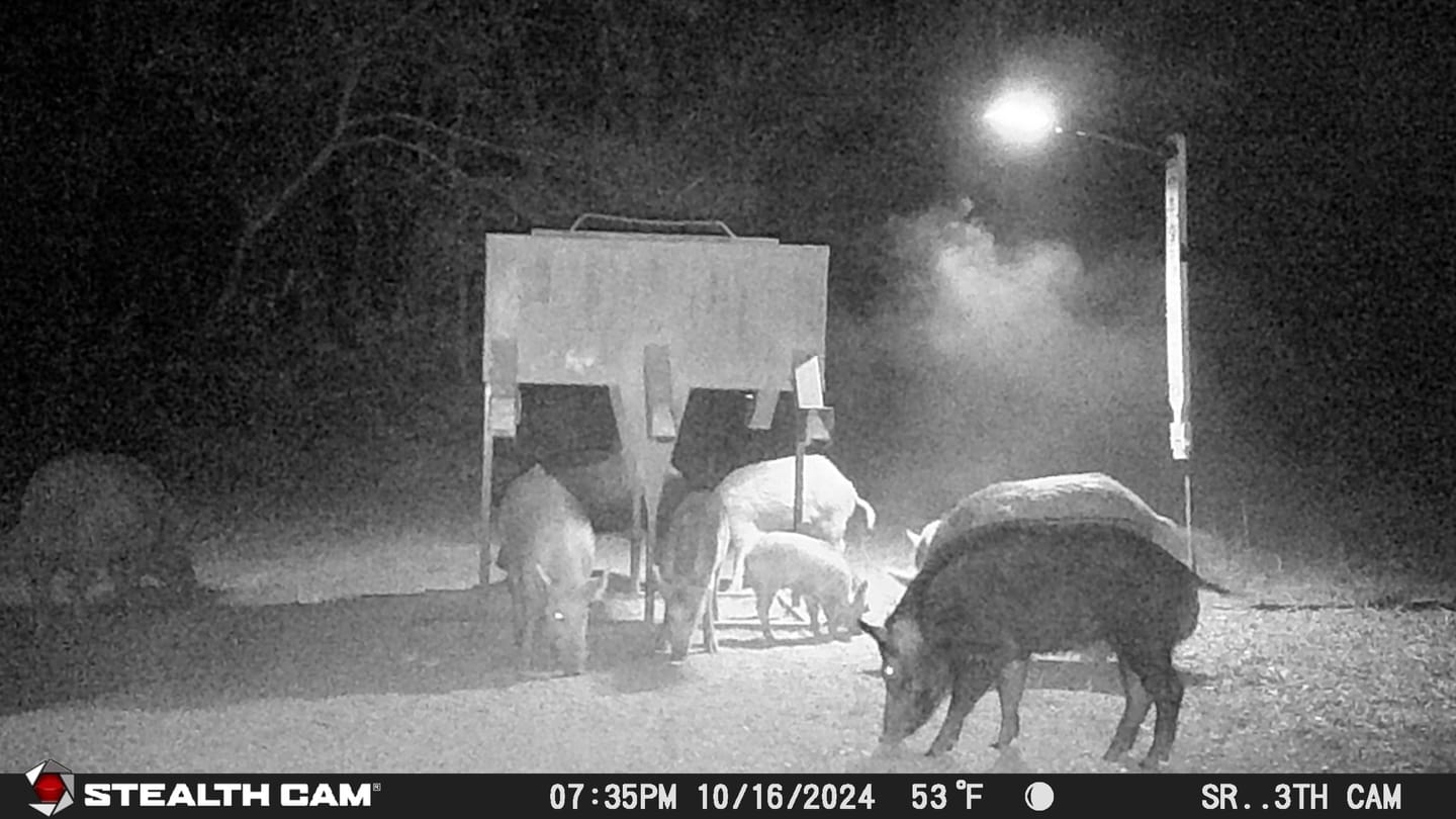 Customer photo review of Solar Green Light for Hunting Hogs Deer,Fish light -15,000lumens