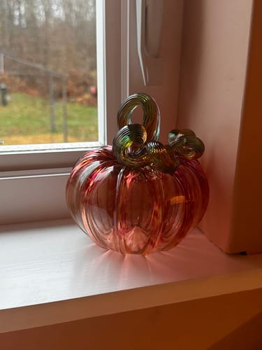 Customer photo review of Daily Pumpkin 3133 Fairy Squat