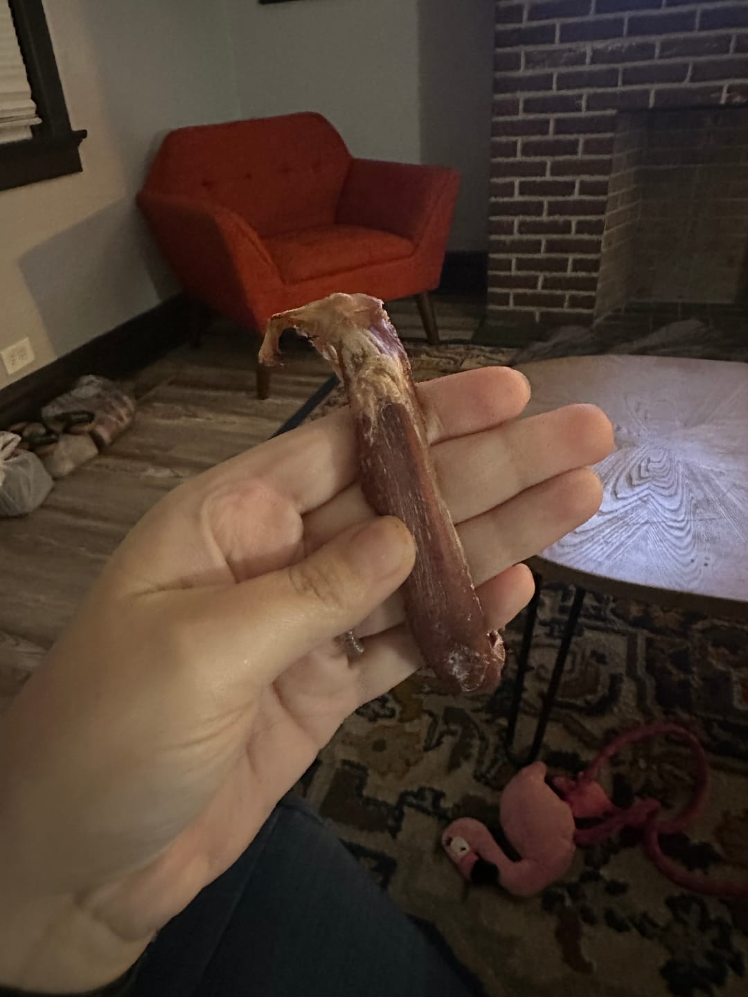 Customer photo review of Large Bully Stick Ring