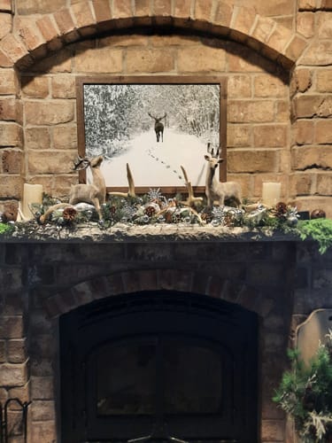 Customer photo review of Tracks in the Snow by Summer Snow SA426