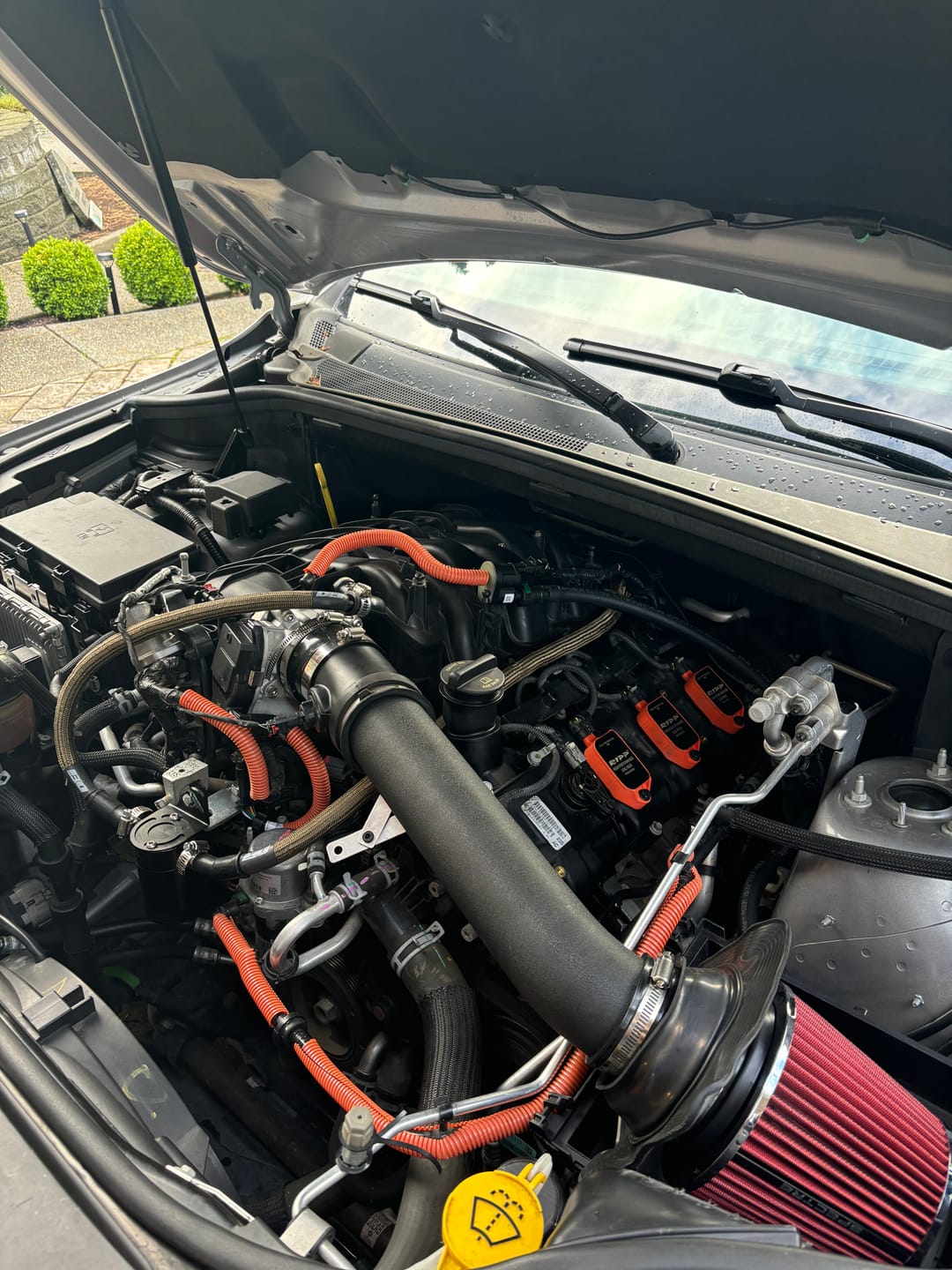 Customer photo review of RIPP V6 High Performance Coil Packs