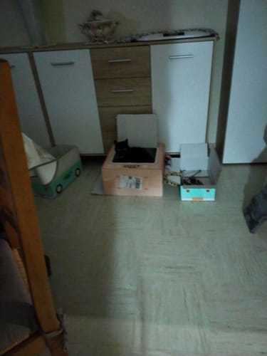 Avis photo d'un client sur Croquettes Chat Stérilisé Sans Céréales - Poulet