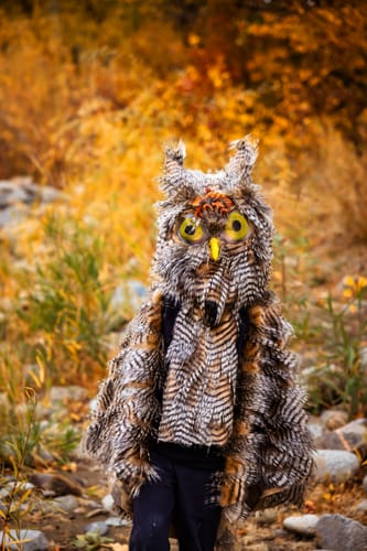 Customer photo review of Brown Gray Faux Feathered Fur Fabric