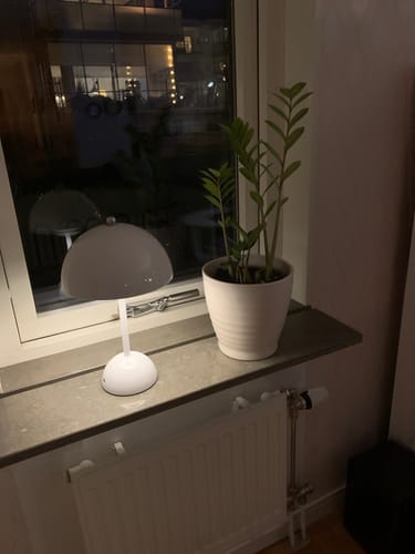 Customer photo review of Bordslampa - Svamplampa Flowerbud - Batteridriven 5000 mAH